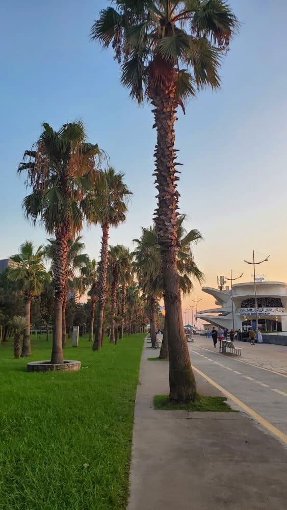 le boulevard de batoumi le long de la plage avec ses palmiers