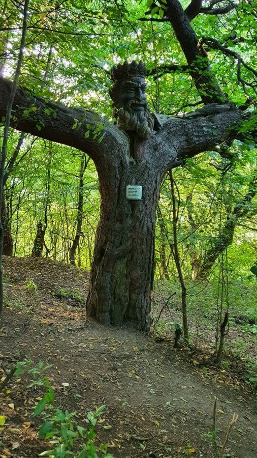 itinéraire arménie dilijan king of forest