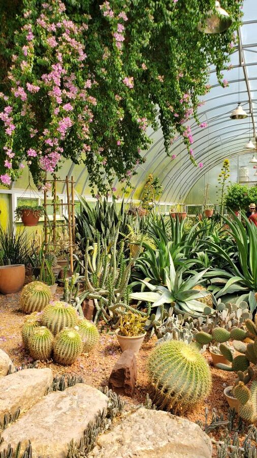 visiter Rasht Lahijan 5 jardin