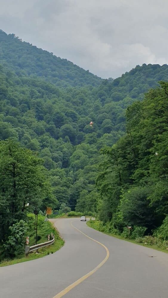 route qui serpente à travers des collines boisées lorsqu'on conduit en Iran