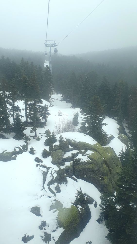 téléphérique de Bursa dans un temps brumeux, nombreux sapins et neige au sol