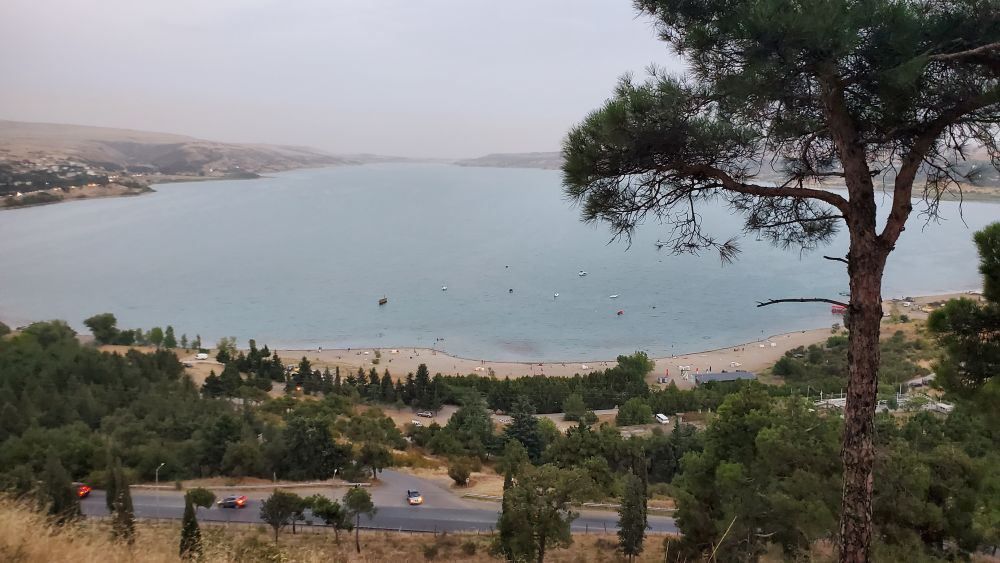 plage boisée au bord du grand lac de Tbilissi